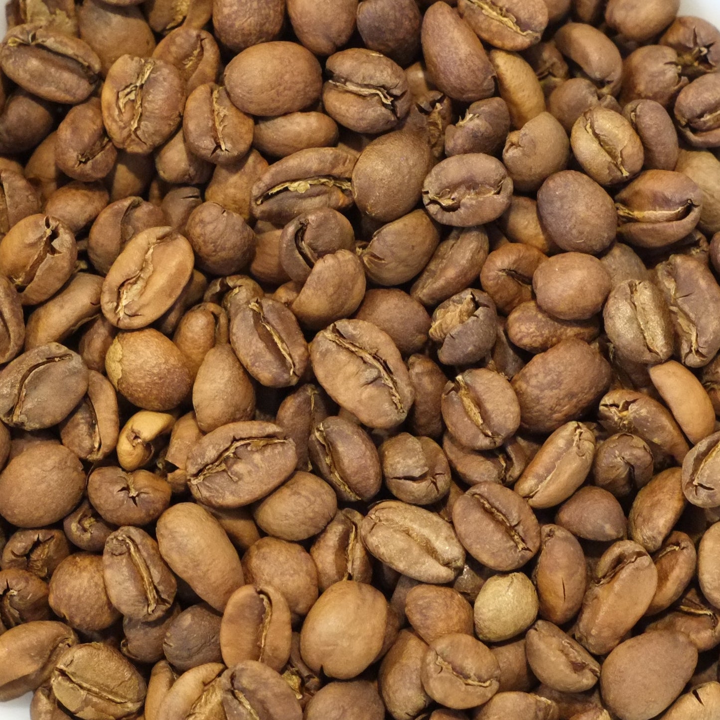 Panama Geisha - Finca Deborah Echo