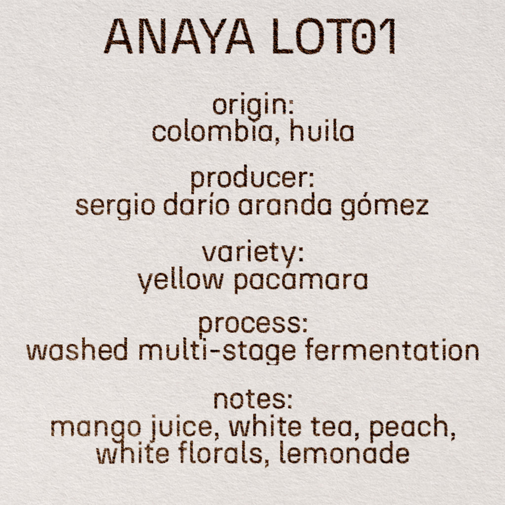 ANAYA LOT01