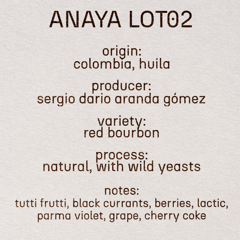 ANAYA LOT02