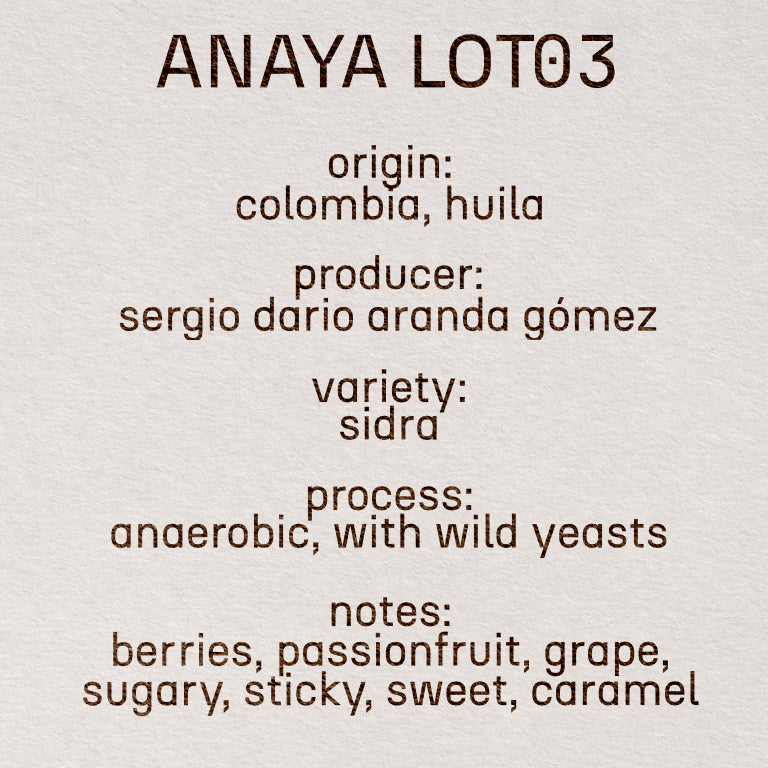 ANAYA LOT03