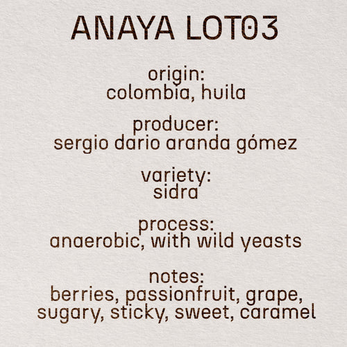 ANAYA LOT03