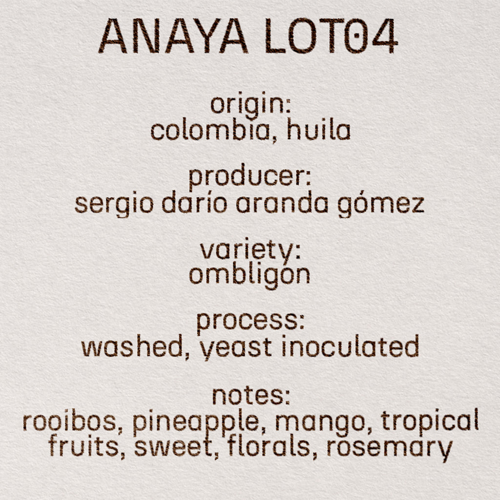 ANAYA LOT04