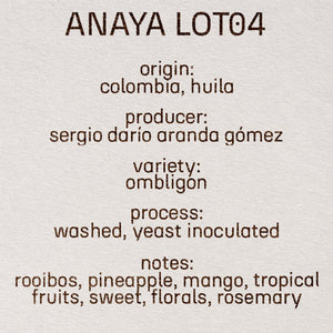 ANAYA LOT04