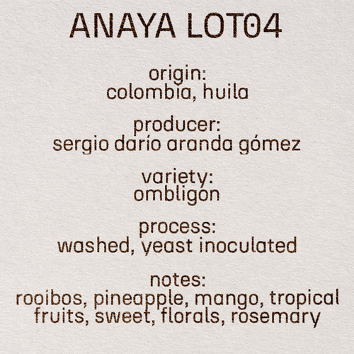 anaya lot04