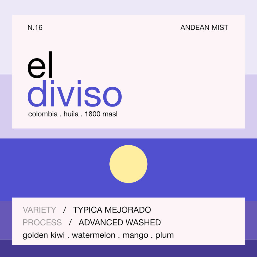 el diviso typica mejorado