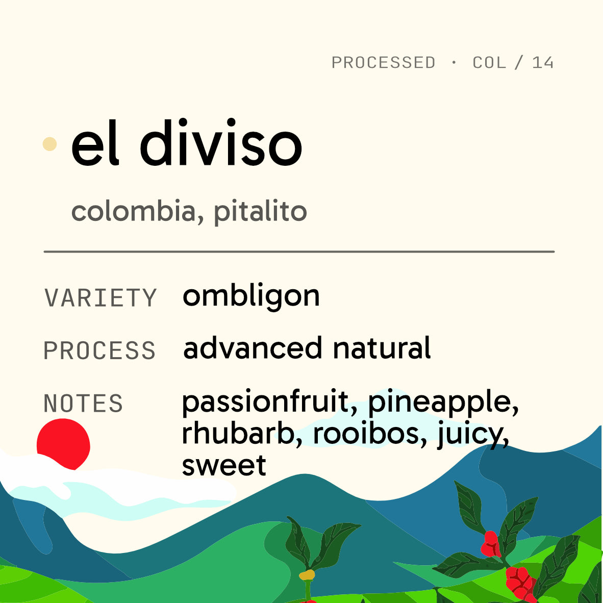 El Diviso Ombligon