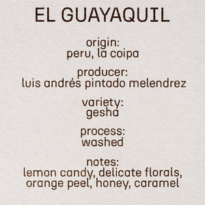 Peru el guayaquil