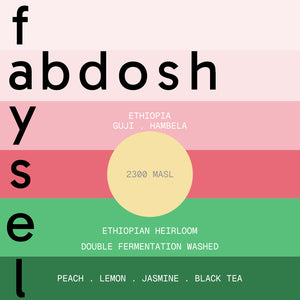 faysel abdosh