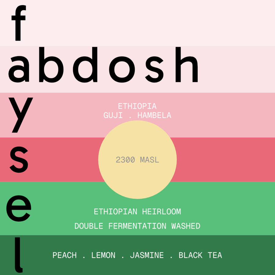 faysel abdosh