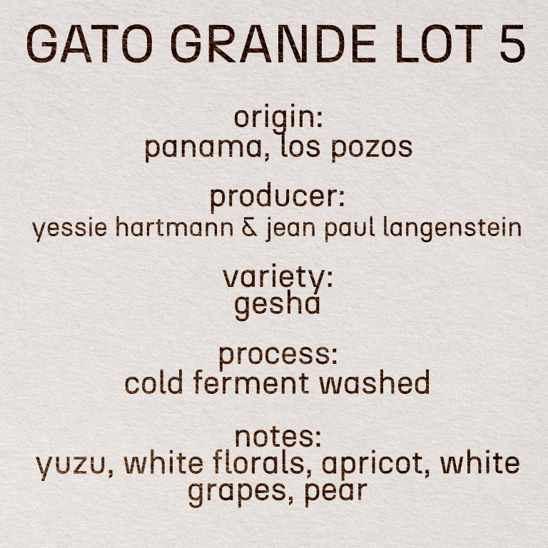 Gato Grande Lot 5