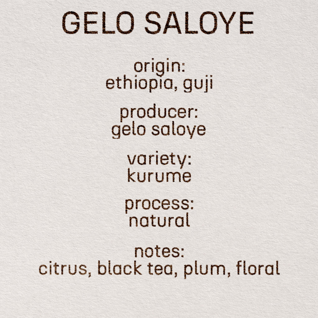 gelo saloye