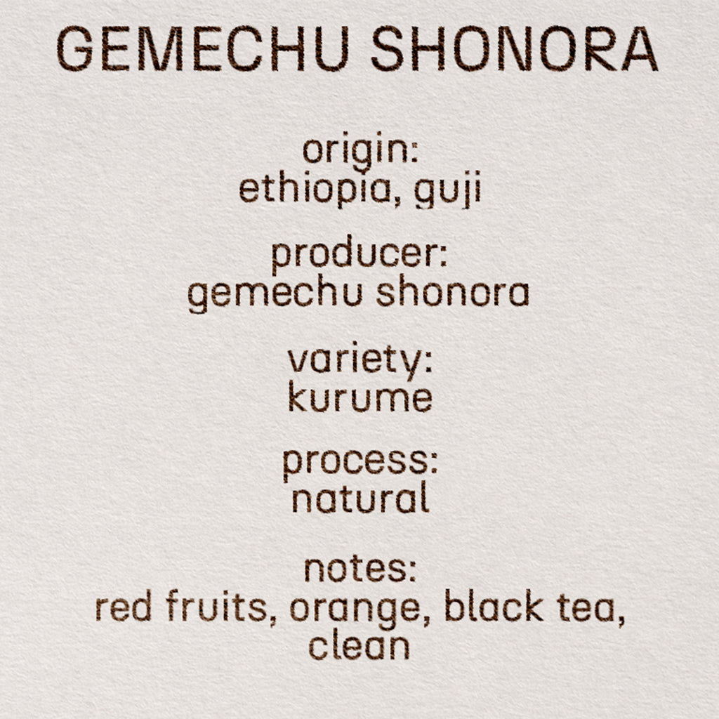 gemechu shonora