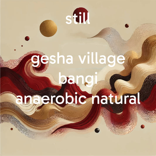 Gesha Village - Bangi Anearobic Natural