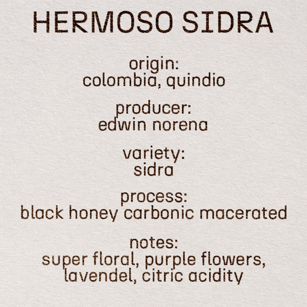 hermoso sidra