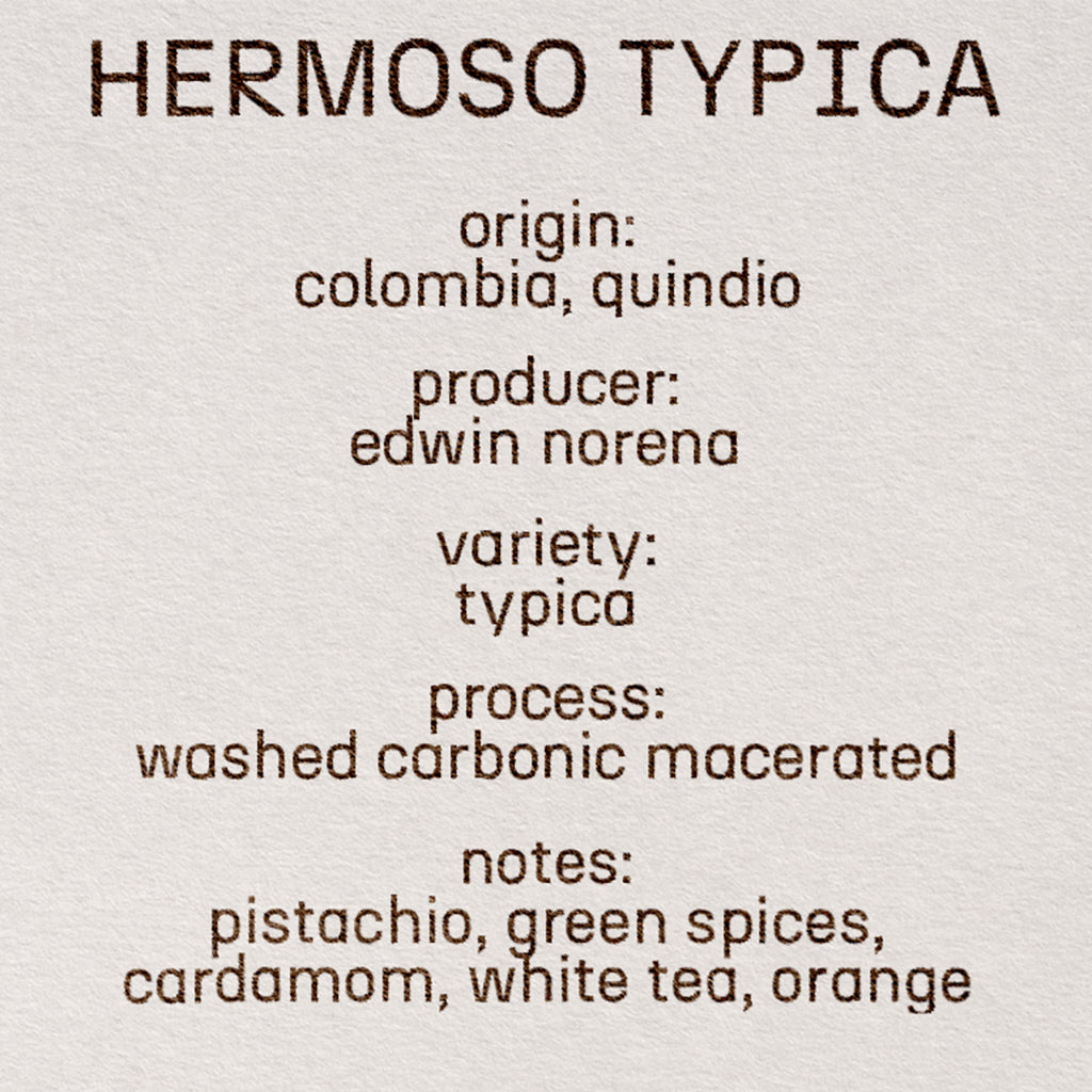 hermoso typica