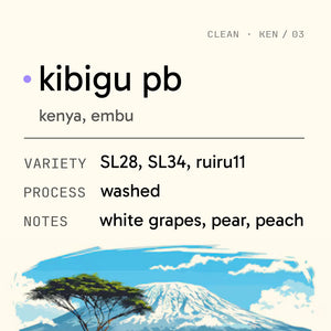 kibigu pb