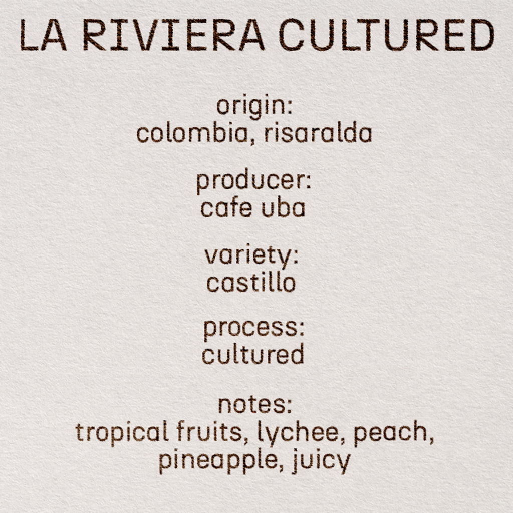 la riviera cultured