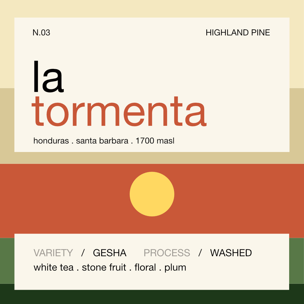 la tormenta