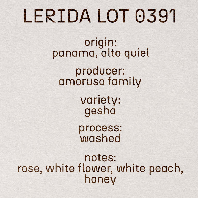 Lerida Lot 0391