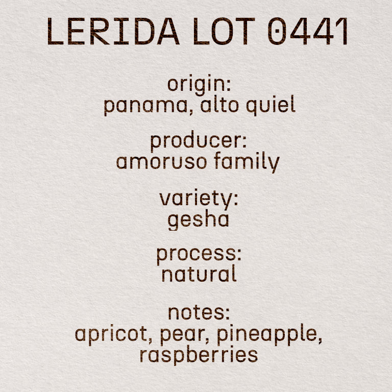 Lerida Lot 0441