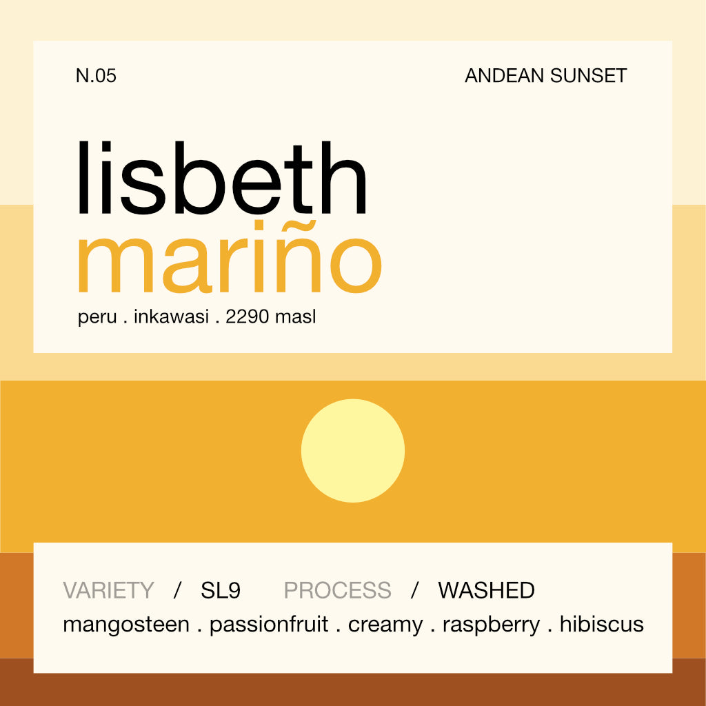 lisbeth marino