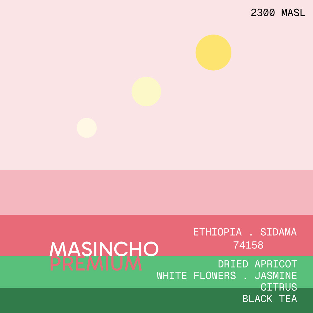 masincho premium