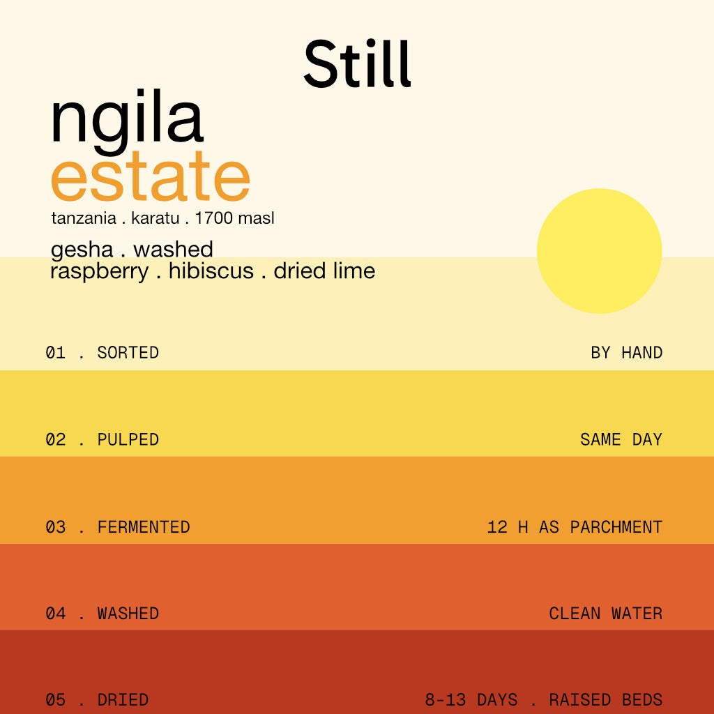 ngila estate