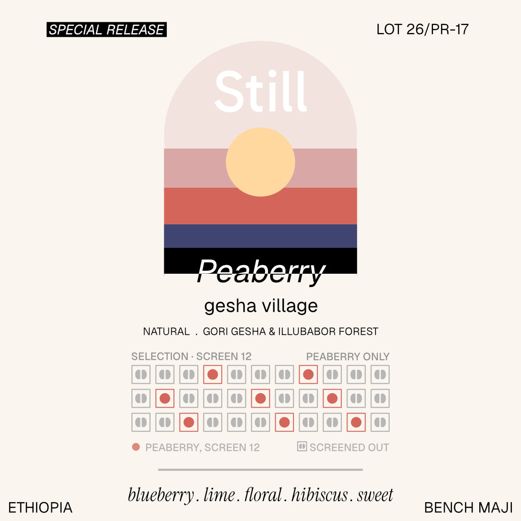 gv 26/pr-17
