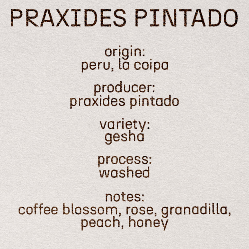 Praxides Pintado
