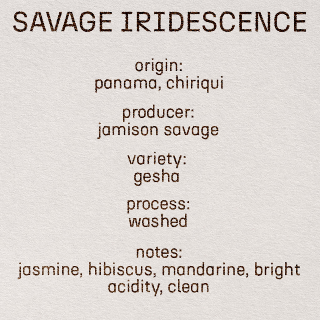 savage - iridescence