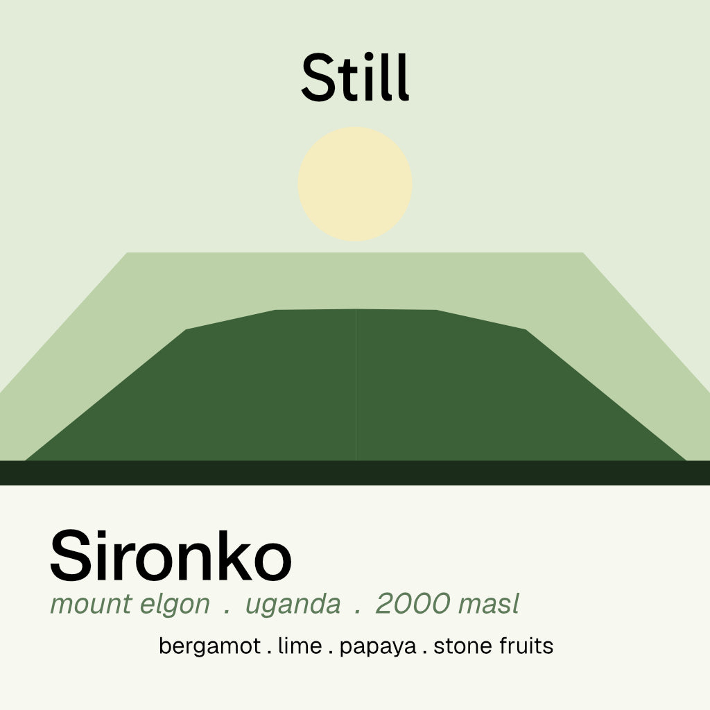 mount elgon sironko