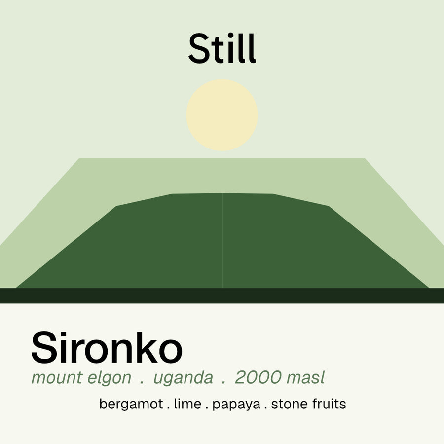 mount elgon sironko
